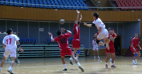 手球地板，手球館運動木地板